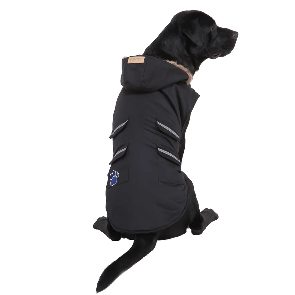 pet clothing canada