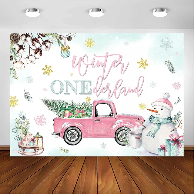 Onederland 1st Birthday Backdrop 5ft x 7ft for Girls Pink