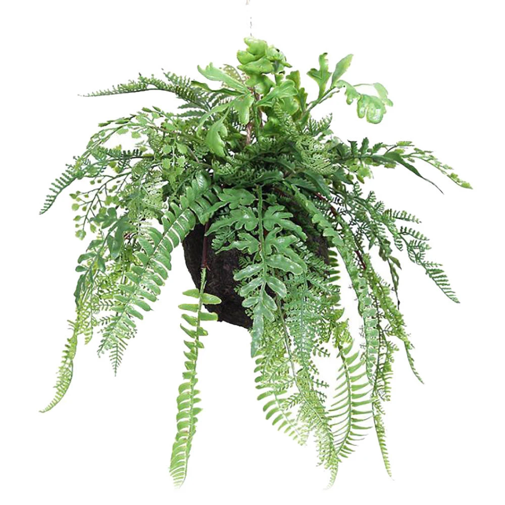 Оливковый Artificial Plants Plastic Fern Green Leaf Hanging Ball Bonsai Home Garden Decoration Wedding Party Supplies - Цвет: Оливковый