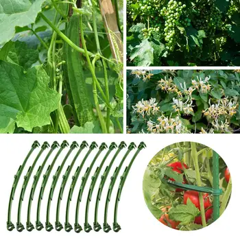 

12PCS Tomato Trellis Stake Arm Expandable Trellis Connector Reusable Garden Plant Frame Mesh Connect Tool Vine Rack Tied Buckle