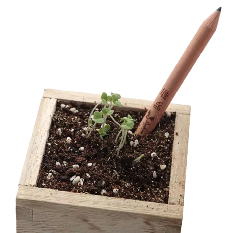 

8PCS Idea Germination Pencil Set To Grow Pencil Sprouted Pencil Mini DIY Desktop Potted Plant Special Gifts Artistic Pencil