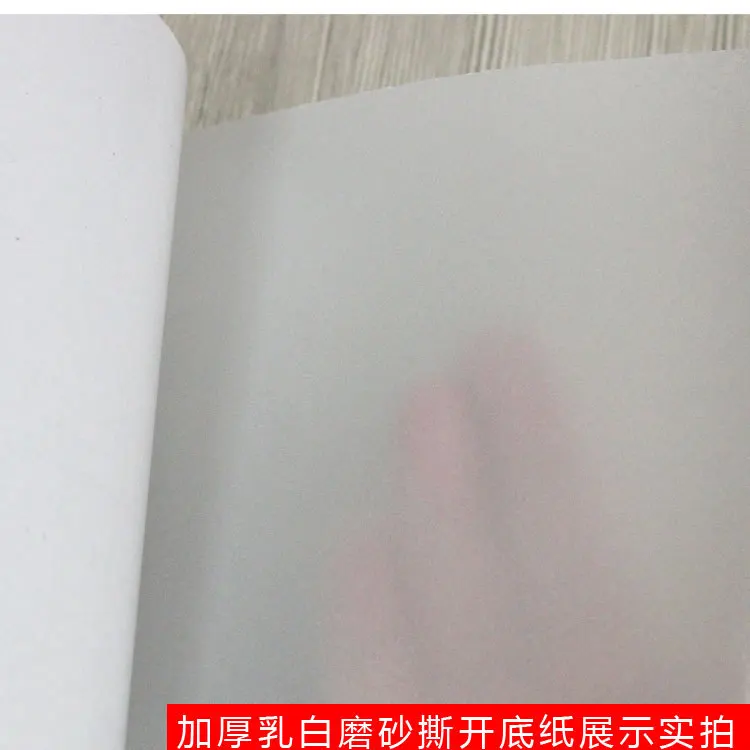 Pure Dull Polish Glass Film Translucent Non-transparent Window Film Office Window Decoration Bathroom Glass Sticker Bathroom