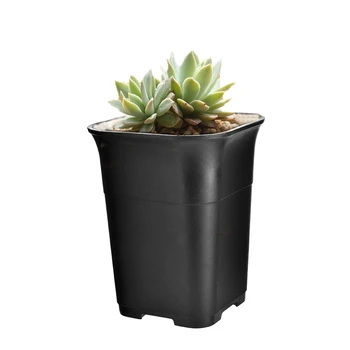 

New 5Pcs Black Square High Waist Mini Nursery Pot Planter Succulent Plant Pot Small Flower Planters, S