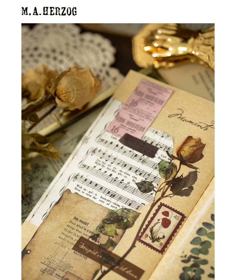 植物研究所贴纸包_17