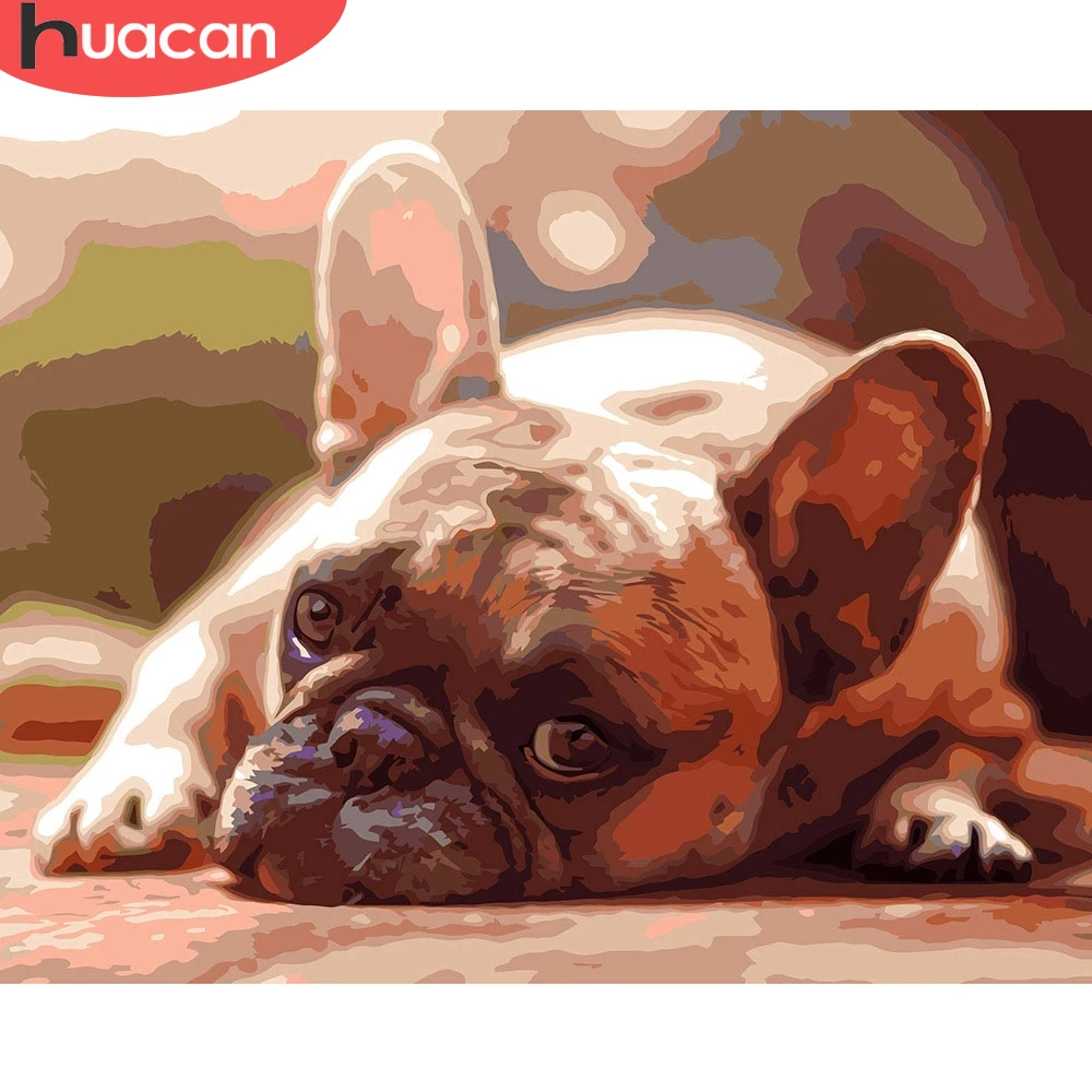 HUACAN Oil Painting Dog Animal Handpainted Home Decoration Pictures By Number Drawing On Canvas Wall Art Handmade Gift | Дом и сад