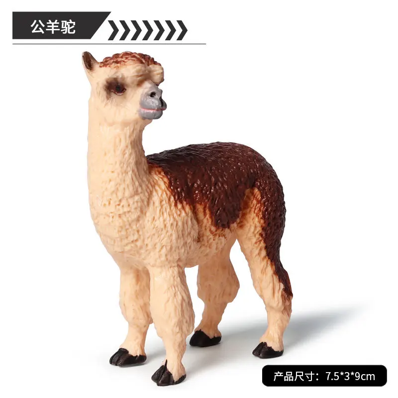 10799032326_1464955482