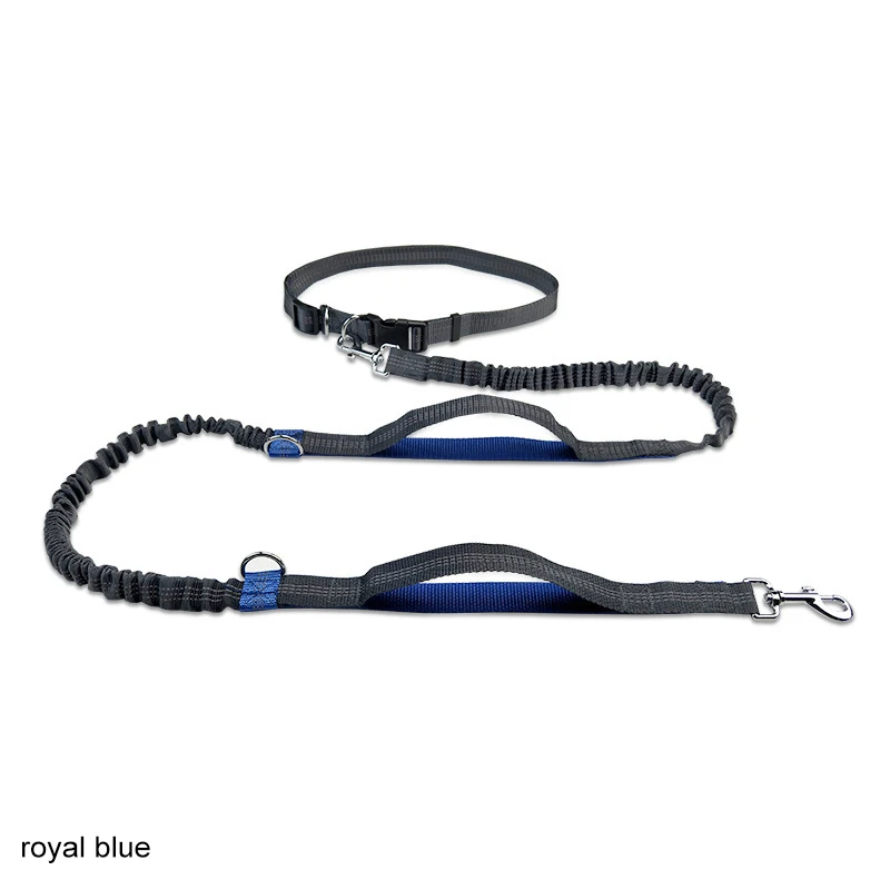 royal blue Двойное d-образное кольцо, спортивный продукт для собак, аксессуары для домашних животных, Беговая Светоотражающая полоса, полиэфирный поводок для собаки, выдвижной - Цвет: royal blue