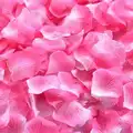 Pink white
