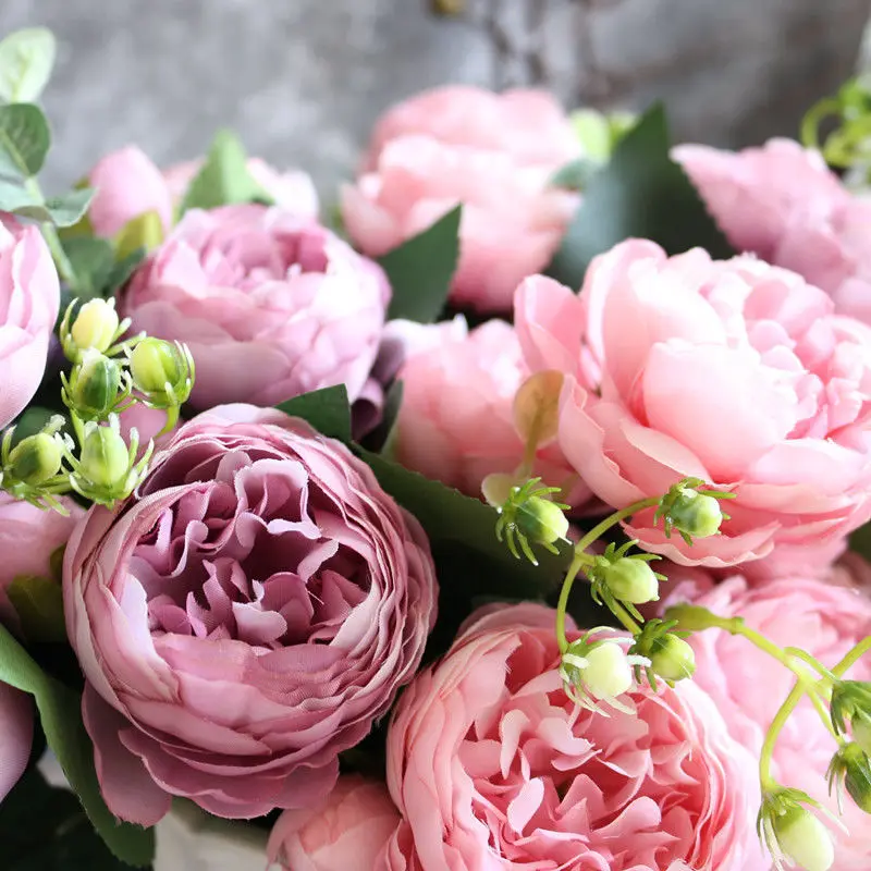 b83a20b2-b0ae-43fc-9e8e-8a44be24eaa2.jpg.a