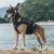 OneTigris X DESTROYER K9 Harness 3 Handled Heavy Duty Dog Жилет С Металлическими Пряжками MOLLE Training Harness для Служебной собаки