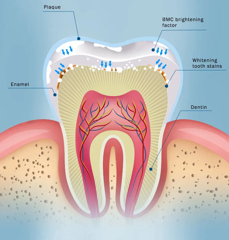 teeth-essence_08