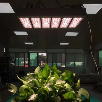 Buy Best Seller Led Lighting Products Hps Grow Light Led Strips With Dimmable Timer Function