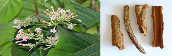 1587452129(1)_副本