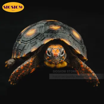 

5D DIY Turtle Diamond Painting Full Square Tortoise Animals 3D Daimond Mosaic Embroidery Cross Stitch Kits Home Decor Room Teen