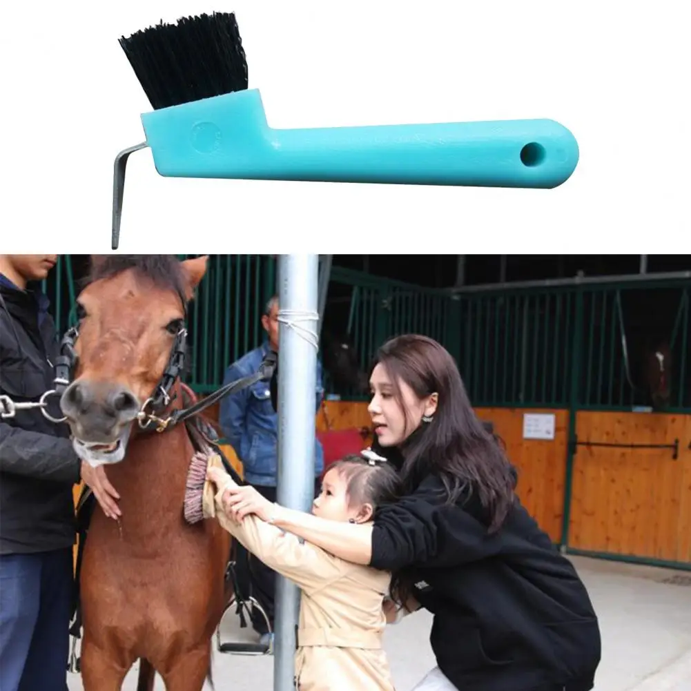 Easy to Hold  Premium Horse Care Cleaning Brush Eco-friendly Horseshoe Brush Fine Workmanship   for Personal Use