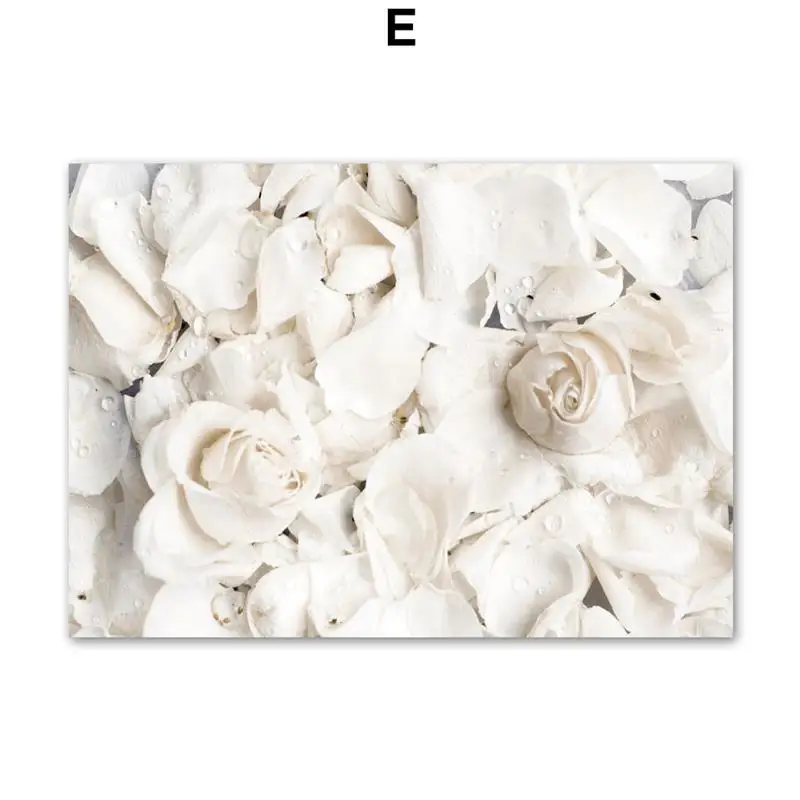 Wall-Art-Canvas-Painting-Bloom-Peony-Rose-White-Flowers-Garden-Nordic-Posters-And-Prints-Wall-Pictures (7)