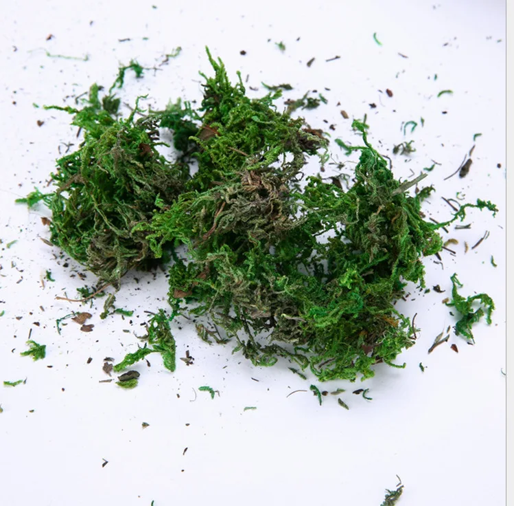 

Simulated Moss Wholesale Manufacturers Direct Selling Artificial Plant Turf Decoration Flower Arrangement Decoration Material Mo