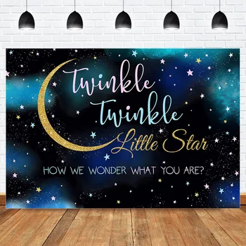 

Twinkle Twinkle Gender Reveal Backdrop for Photography Starry Sky Little Stars Moon Newborn Baby Birthday Background Photoshoot