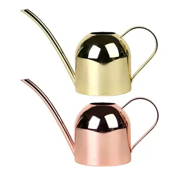 

European Gardening Water Can Stainless Steel 500ml Kettle Bottle Watering Flower