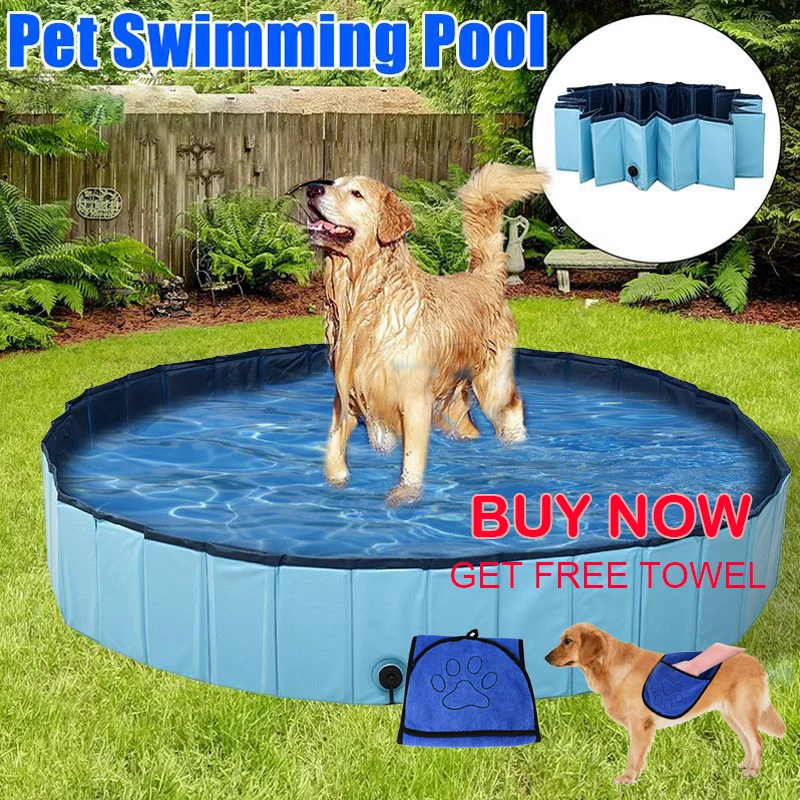 Se puede bañar al perro en la piscina? - Vestatex