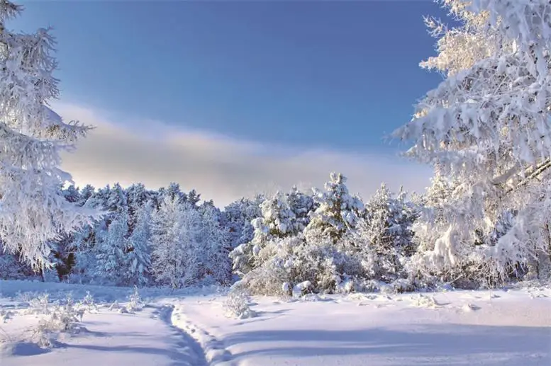 Laeacco зимние снежные фоны Снежинка Дерево горошек светильник боке Блестящий естественный вид фото фоны фотосессия Фотостудия - Цвет: NWH05113
