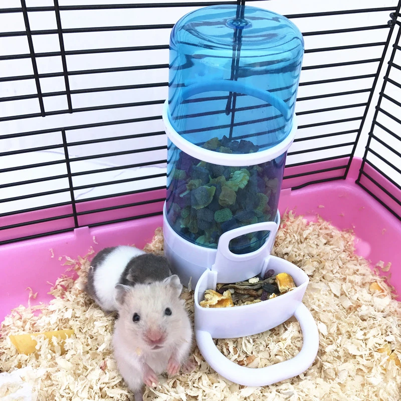 hamster supplies