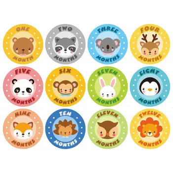 

First Year Monthly Milestone Photo Sharing Baby Belly Stickers, 1-12 Months, Neutral