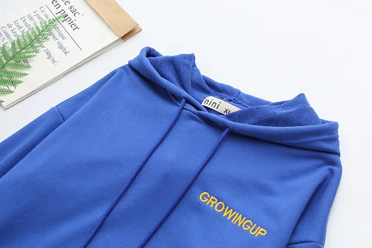 Blvyisla 4XL большие размеры для 105 кг женские свитшоты вышивка растущая буква толстовки с капюшоном большой карман Топы