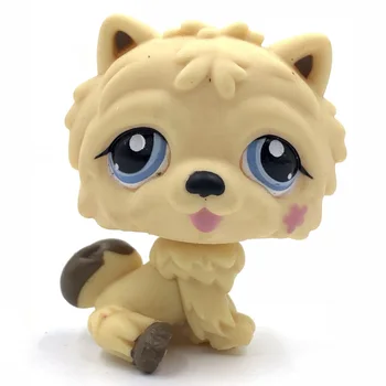 

LPS CAT Rare animal pet shop toys CHOW CHOW dog #662 cute yellowpuppy present for boys and gifts