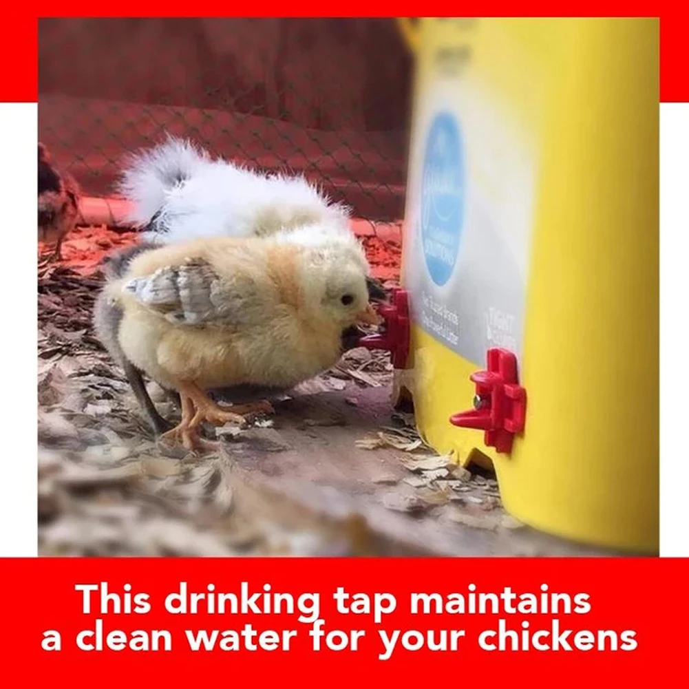 10 Chicken Horizontal Chicken Water Nipple Poultry Fountain Auto Waterer Drinker 