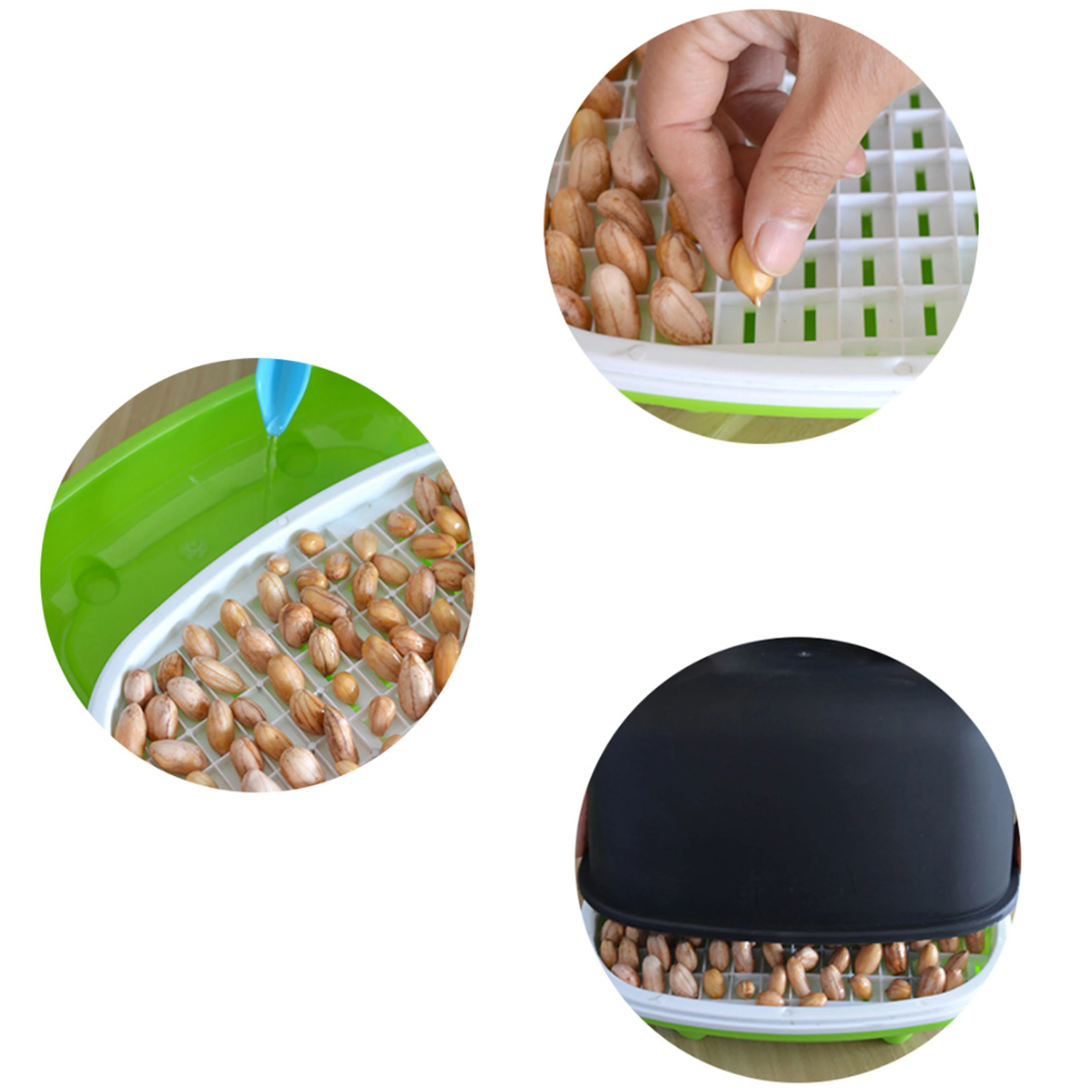 Kit Hydroponique Pour Herbe à Chat - Bac De Culture Compact En Plastique - Pour Faire Pousser De La Cataire à La Maison Ou Au Bureau - 7