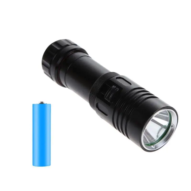

1000lm Professional Diving IP68 Waterproof Flashlights L2LED DC 10W Aluminum Alloy Glare Infinitely Dimming Flashlight