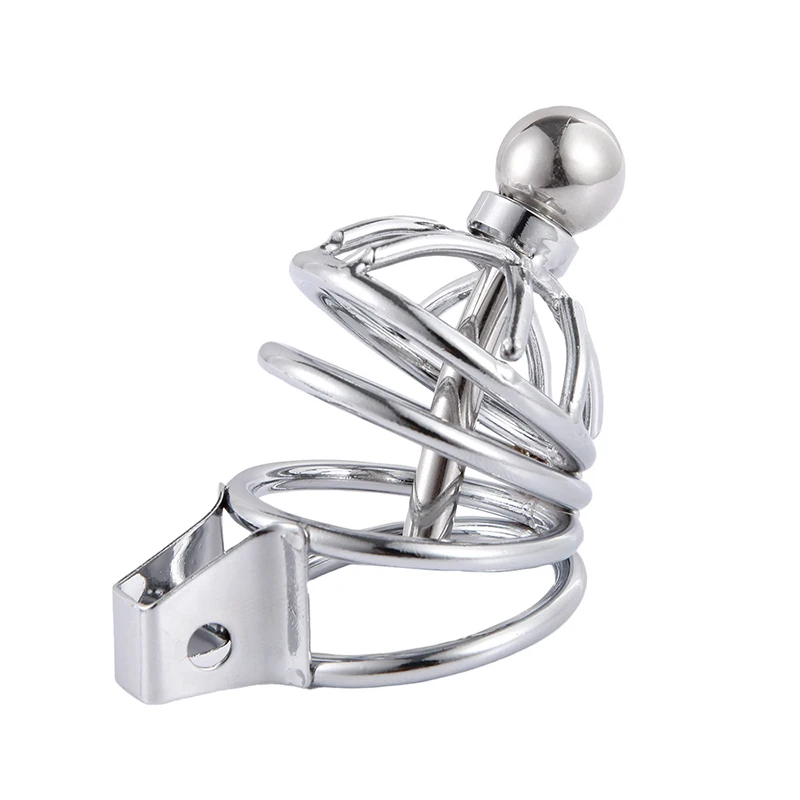 4642177841_1729867249