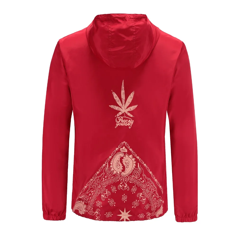 HTB1oPIHXnjxK1Rjy0Fnq6yBaFXam