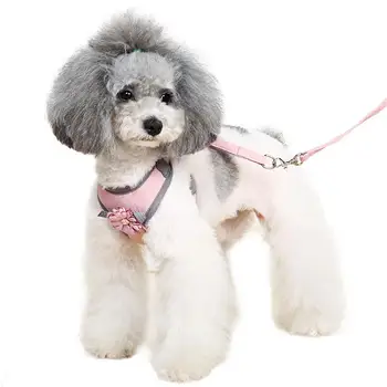 

Pet Dog Leads Chest Straps Small Pet Adjustable Pet Basic Halter Harnesses Keep Mascotas Chaleco Reflectante Dog Collar OO50XQ