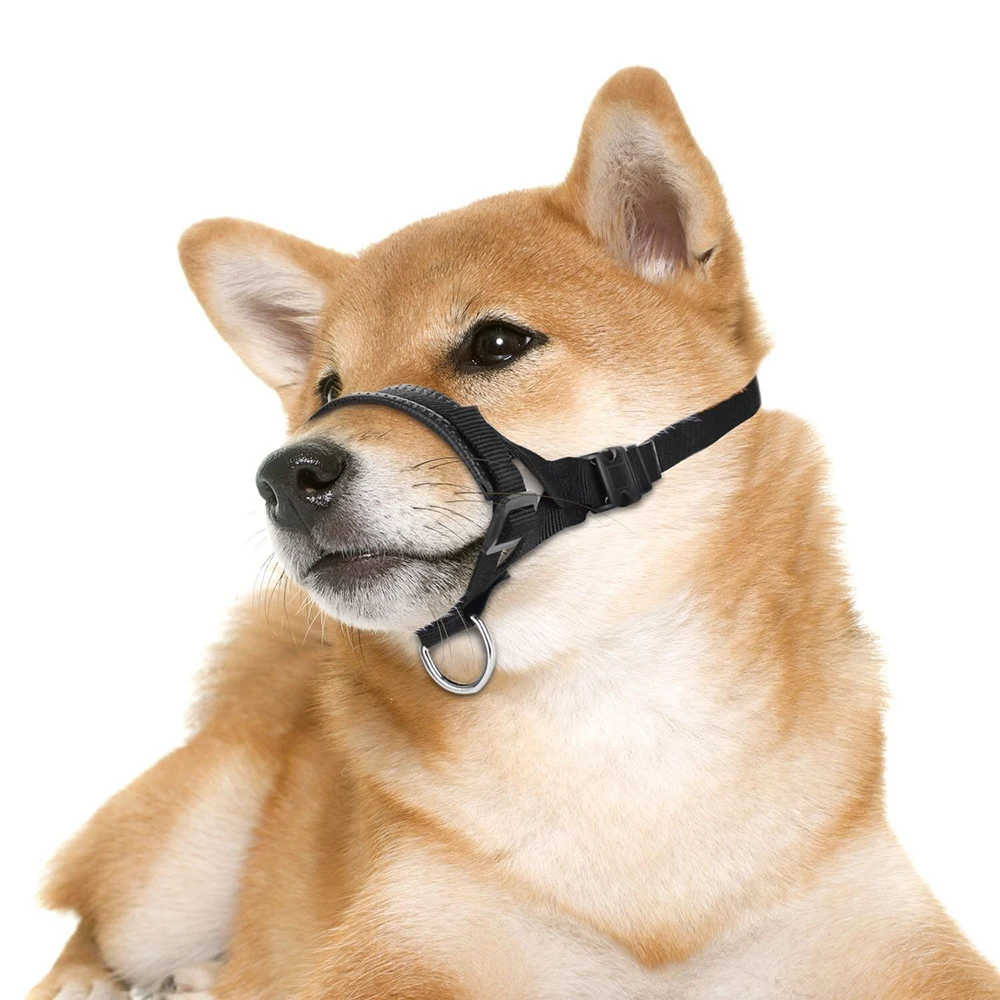 42016-ca8c0f.jpg