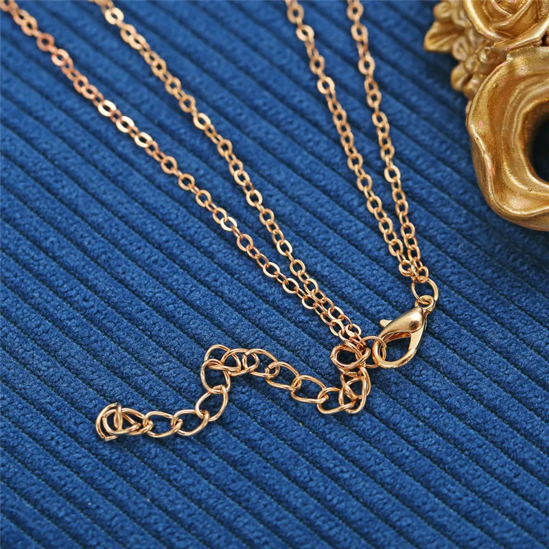 15282501492_793437558