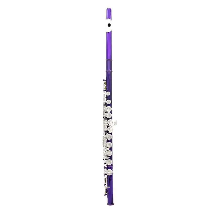 16 Флейта с отверстиями C ключ инструмент ветра мини отвертка чехол с перчатками