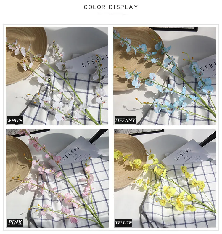 8679043910_1885843273