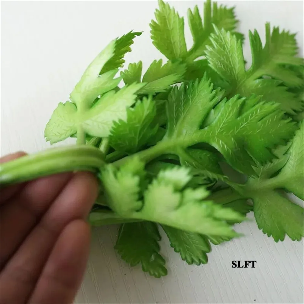 Celery Stick In Hindi