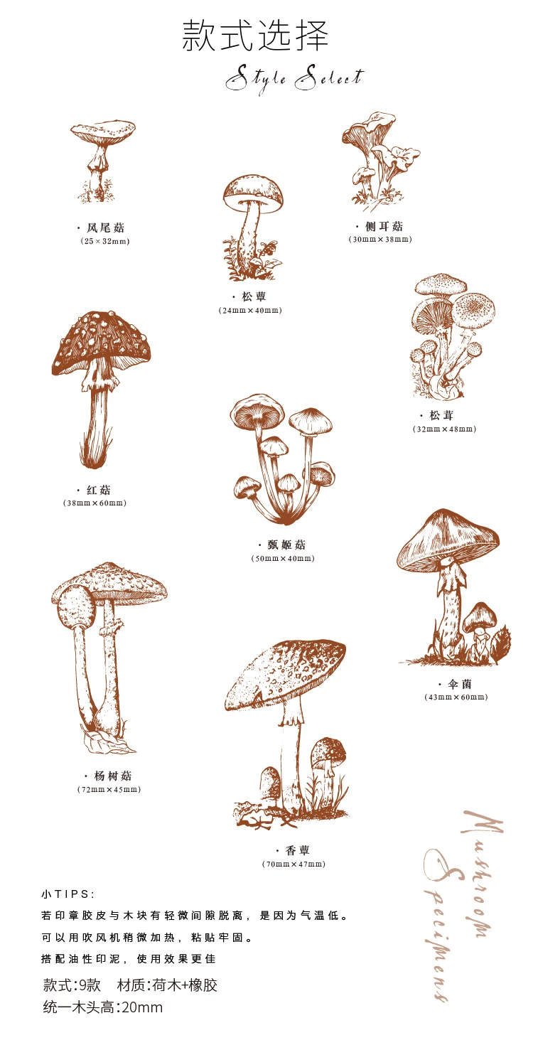 //img.alicdn.com/imgextra/i1/1664485530/O1CN011ATlRS1qimn9cdCD0_!!1664485530.jpg