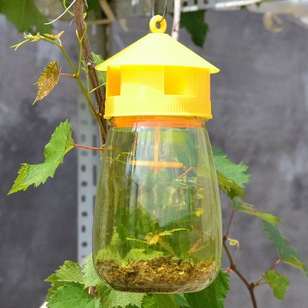 

Useful Yellow trap fruit stalls home farm orchard melon fruit insects fruit fly bee armyworm attracting trapping agent