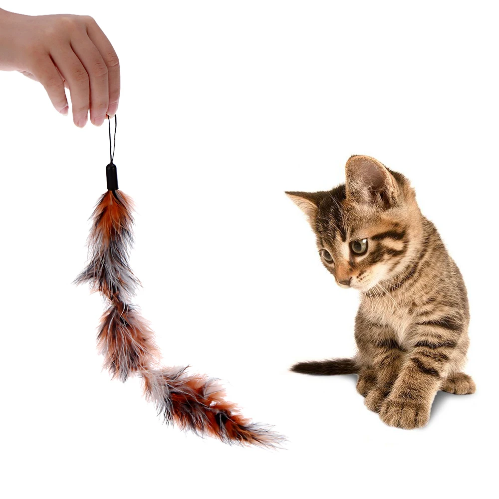 

Hot New 2PCS Luxury Extendable Pet Kitten Cat Feather Teaser Wand Rod + 13PCS Colorful Natural Long Feather Cat Teaser Toy Set