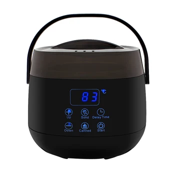 

100W Digital Display Multifunctional Wax Warmer Kits EU Plug