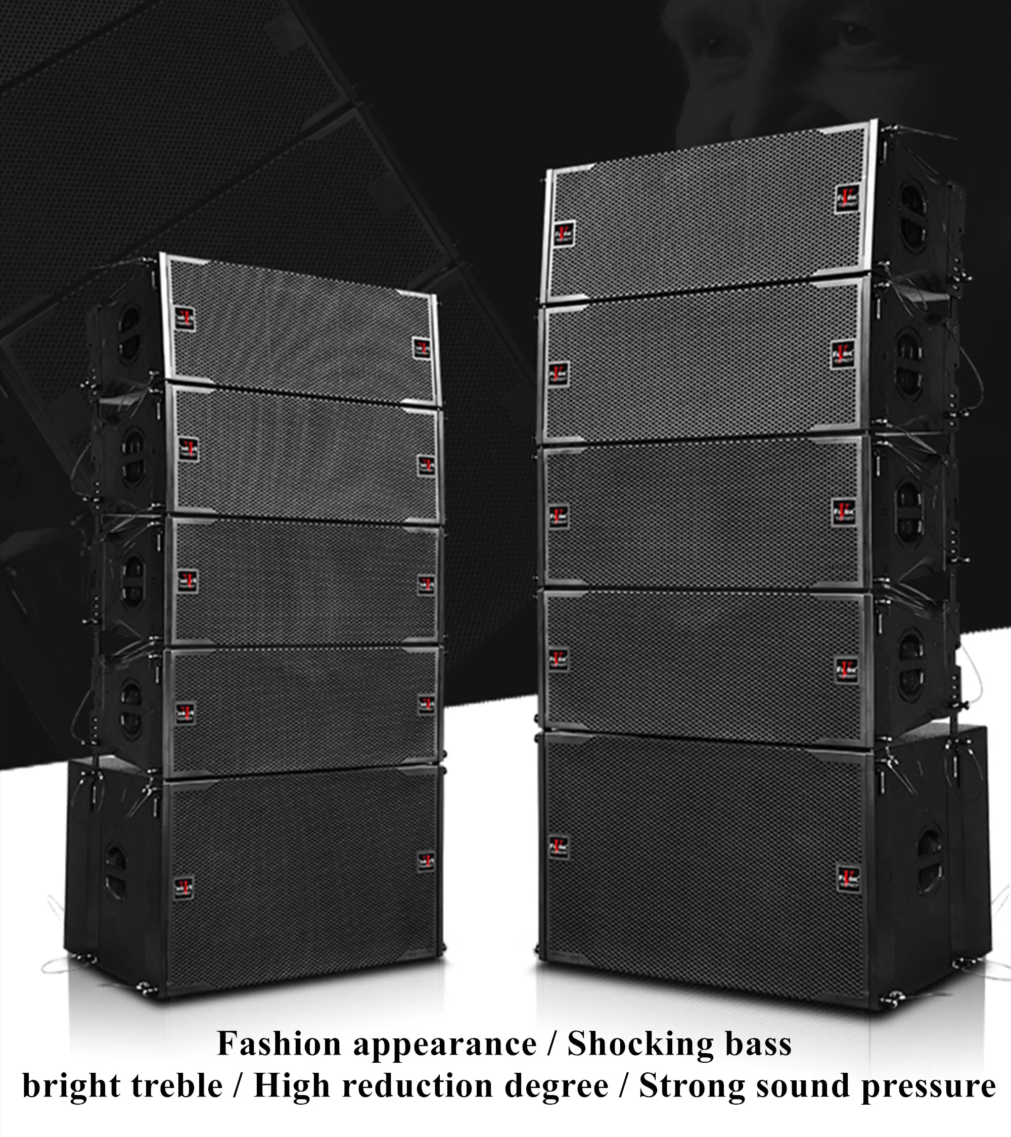 Professional Audio Dj Line Array 