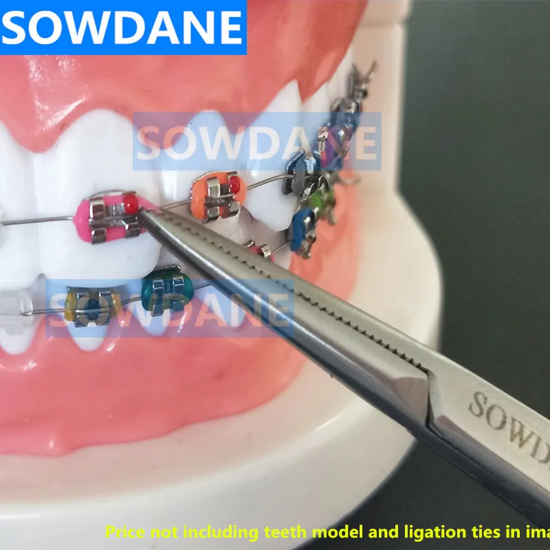 Beste Orale Dental Orthodontische Mathieu Elastische Plaatsing Ligatie Ring Ligature Tie Houder 14cm Extra Fijne Snavel Tandheelkundige Laboratorium Tool