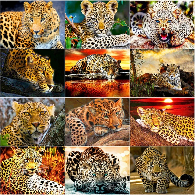 5D Diy Diamond Painting Panther Jaguar Leopard Diamond Art Animals  Embroidery Cross Stitch Mosaic Home Decoration Gifts - AliExpress