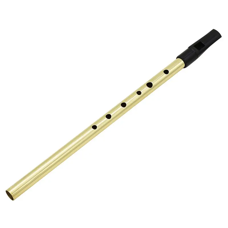 Ирландский свисток ирландская Флейта свисток оловянный свисток ключ D Пенни свисток 6 отверстий флейта Chanter Мини карманный музыкальный инструмент золото