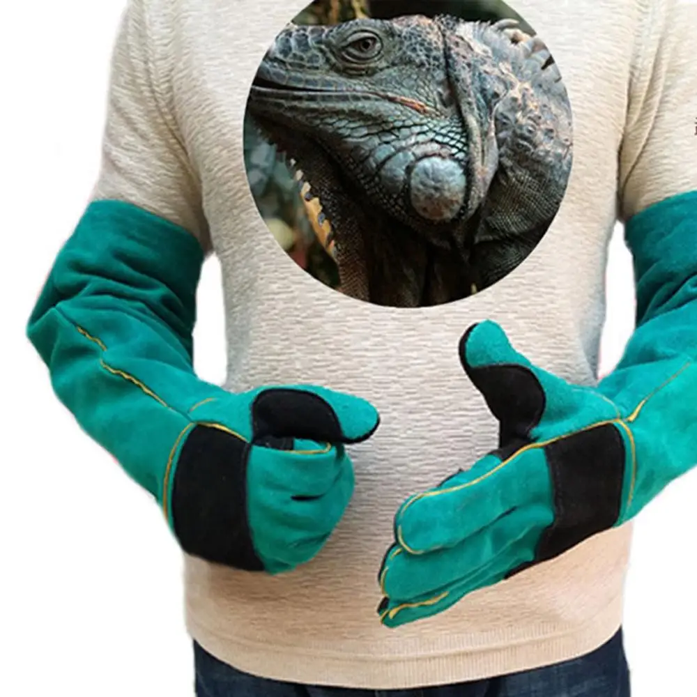 

Sporty style animal handling anti-bite/scratch gloves, dog cat and bird snake parrot lizard wildlife protective gloves, feeding