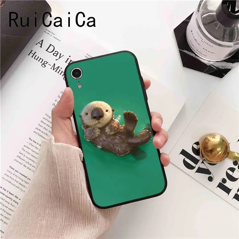 lovely cute Otter water animal